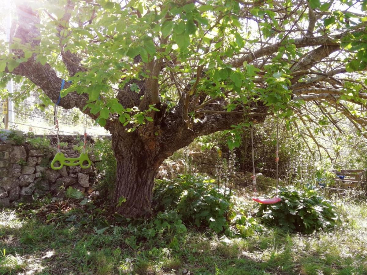 Bastide Provencale Les Muriers D'Engaspaty セイヤン エクステリア 写真