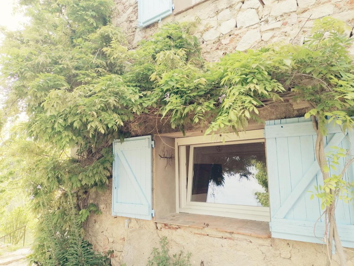 Bastide Provencale Les Muriers D'Engaspaty セイヤン エクステリア 写真